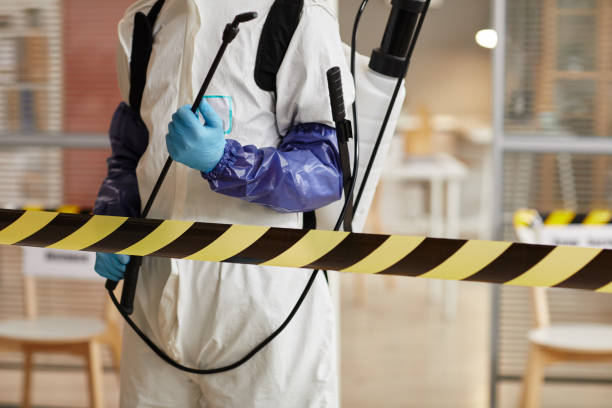 Professional Sewage Cleanup technician working in Prairie Grove, IL